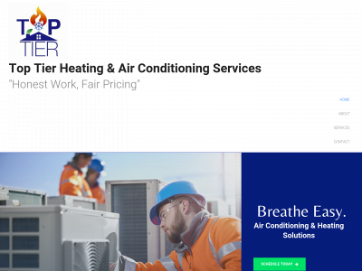toptierservices.net snapshot