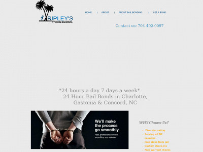 ripleybailbonding.com snapshot