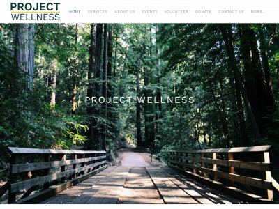 projwellness.org snapshot