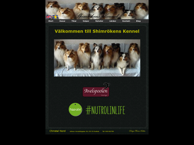shimrokens.se snapshot