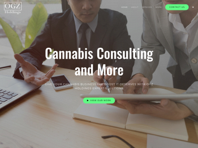 ogzholdings.net snapshot
