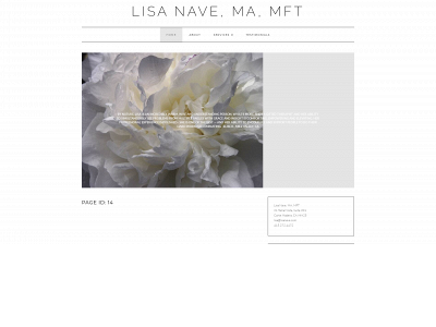 lisanave.com snapshot