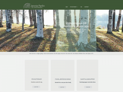 ferlinpsykoterapi.se snapshot
