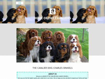 homeofcavalierkingcharlesspaniels.com snapshot
