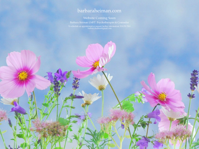 barbaraheiman.com snapshot