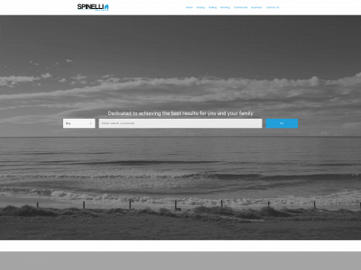spinellirealestate.com snapshot