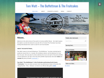 tomwatt.com snapshot