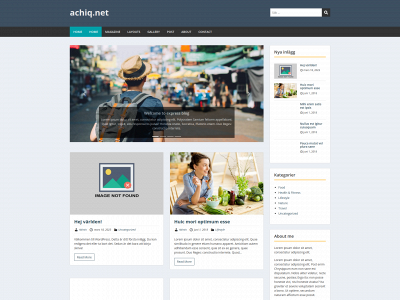 achiq.net snapshot