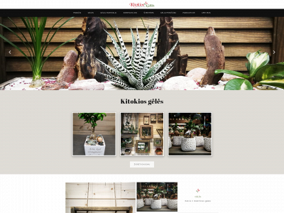 kitokiosgeles.lt snapshot