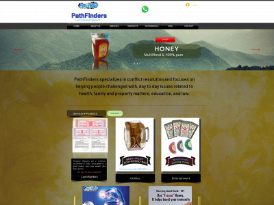 thepathfinders.in snapshot