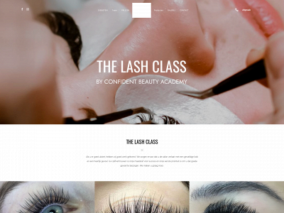 thelashclass.nl snapshot