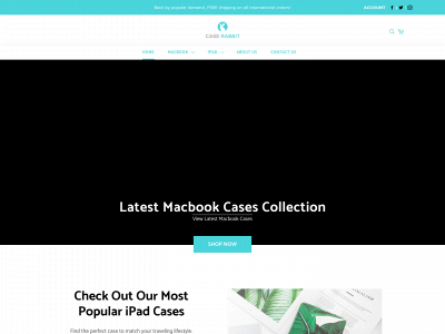 caserabbit.com snapshot