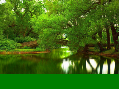 futuregreen.digital snapshot