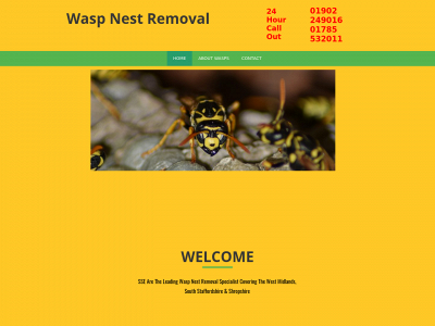 waspsnest-removal.co.uk snapshot