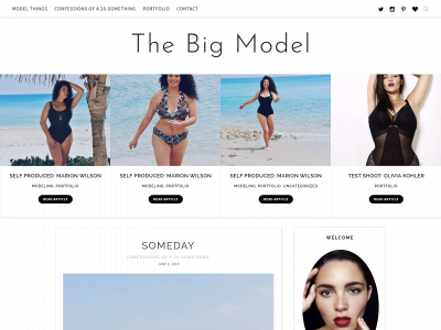 thebigmodel.com snapshot