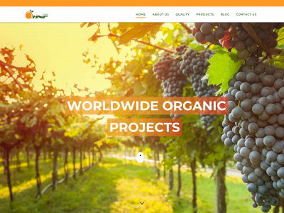 hnffoods.co.uk snapshot