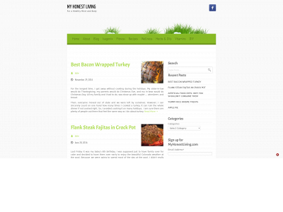 myhonestliving.com snapshot