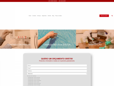 dedetizacaoinsetan.com.br snapshot