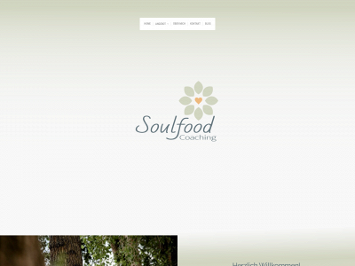 soulfood-coaching.com snapshot