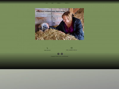 hilde-care.be snapshot