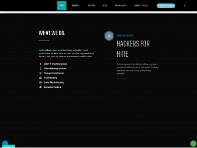 hackingneeds.com snapshot