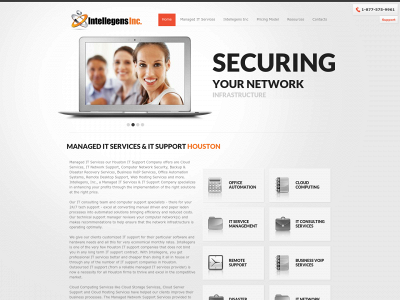 intellegensinc.com snapshot