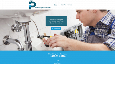 plumbingproservices.com snapshot