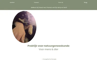 energetischvitaal.nl snapshot