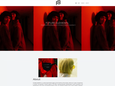 futureelements.co.uk snapshot