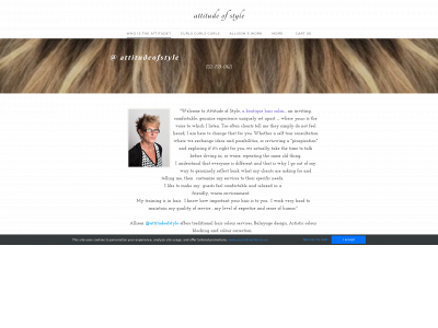 www.attitudeofstyle.com snapshot