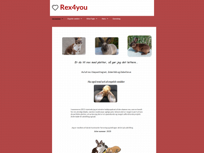rex4you.dk snapshot