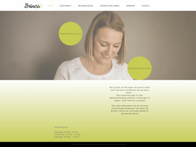 briness.be snapshot