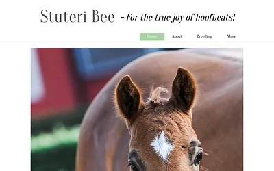 stuteribee.se snapshot