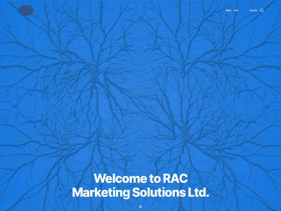 racmarketingsolutionsltd.com snapshot