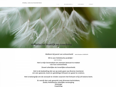 parelvanschoonheid.be snapshot