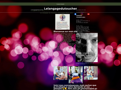 lelangagedutoucher.fr snapshot