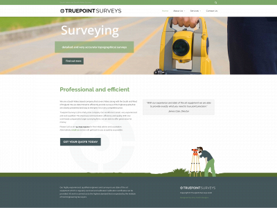 truepointsurveys.co.uk snapshot