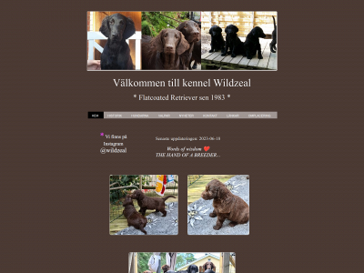 wildzeal.se snapshot