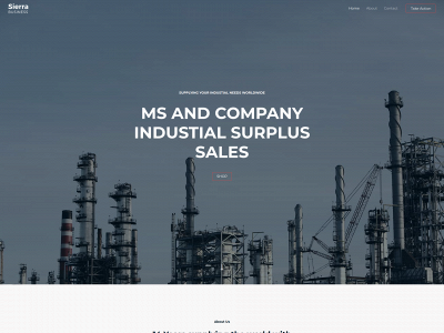 msandcompany2010.net snapshot
