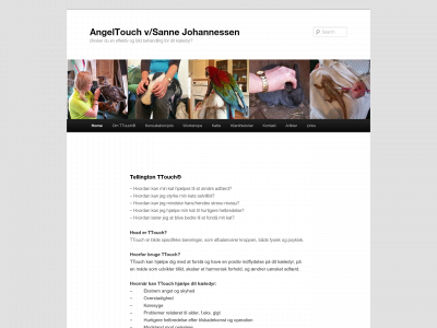 angeltouch.dk snapshot