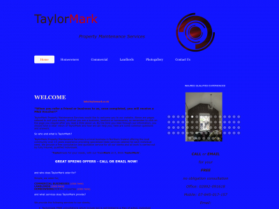 taylormark.co.uk snapshot