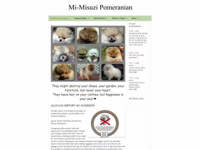 mi-misuzi.com snapshot
