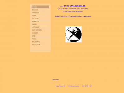naessens-budo-college.be snapshot