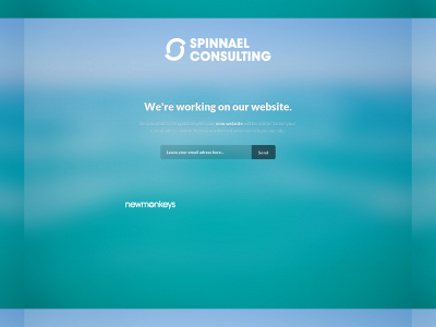 spinnaelconsulting.com snapshot