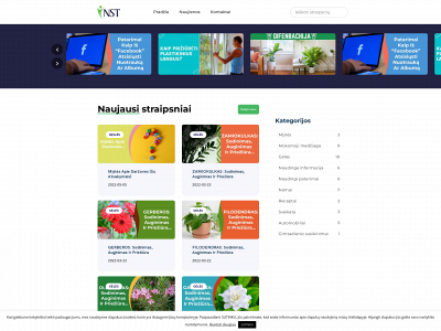 nst.lt snapshot