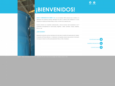 saldecoperu.com snapshot