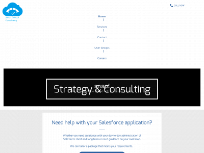 simondriscollconsultancy.co.uk snapshot