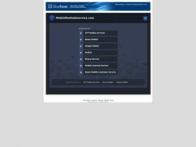 mobilefleetlubeservice.com snapshot