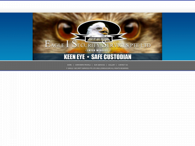eaglei.com.sg snapshot
