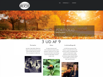 susanabuch.dk snapshot